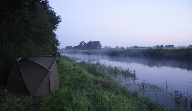 dawn dawn